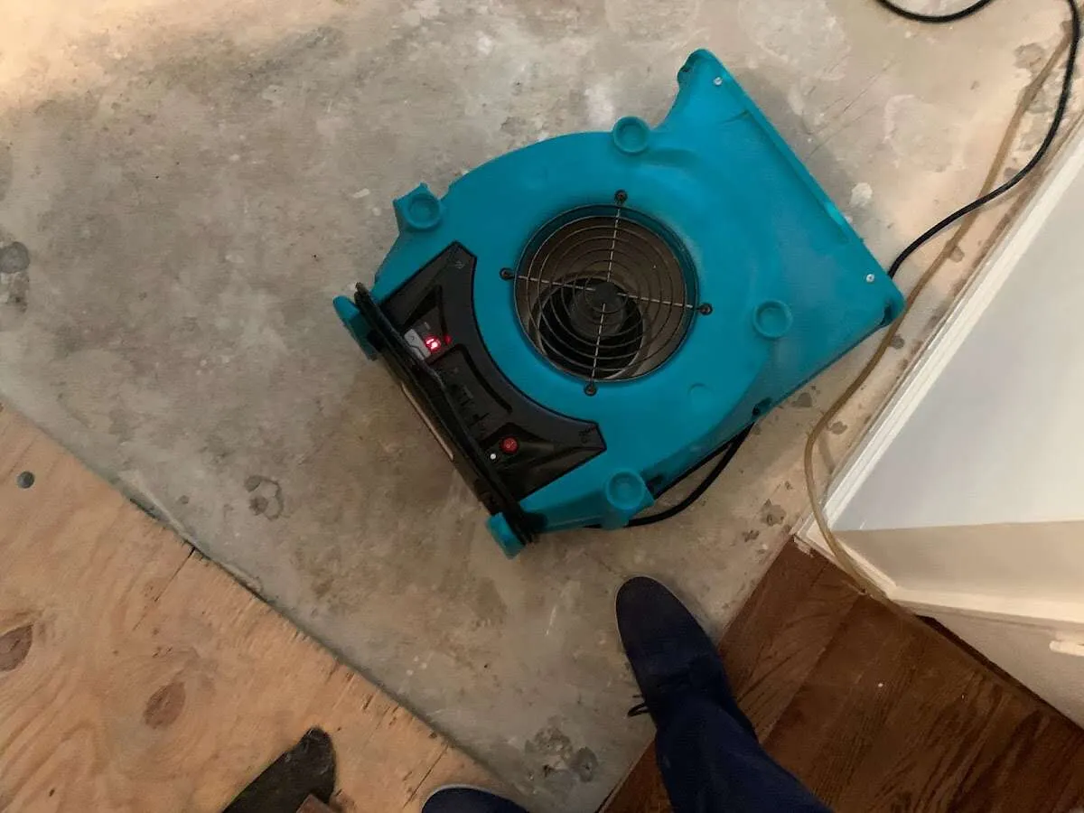Air mover drying subfloor during Leak Detection & Repair in Heathrow